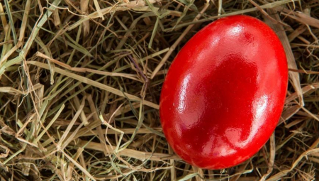 OVAKO ĆE JAJA IMATI JARKO CRVENU BOJU: Nema ni trunke hemije, potrebna su vam dva sastojka iz kuhinje