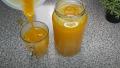 PROVERENO NAJZDRAVIJI SOK NA SVETU Leči bolove u zglobovima i leđima, čisti krv od otrova