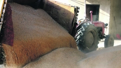 Zgrnuli milione pljačkajući državu! Akcija kontrole robnih rezervi pokazala gde curi brašno, preduzetnici krali iz nekoliko skladišta!