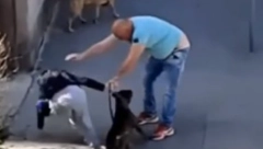 ŠUTIRANJE ŽENE I PSA NA ULICI ZGROZILO SRBIJU Oglasio se muškarac sa snimka koji je bio učesnik incidenta