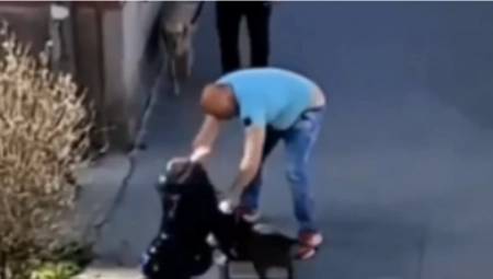 SVI SU HEROJI NA INTERNETU A NIKO NA ULICI Gde smo bili danas da spasemo ženu koju je mučki tukao slučajni prolaznik!