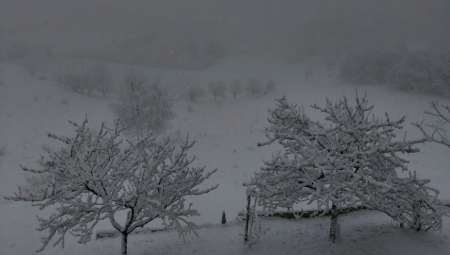 PAO PRVI SNEG Zabelelo se u komšiluku (FOTO)