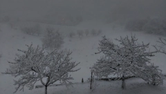 PAO PRVI SNEG Zabelelo se u komšiluku (FOTO)