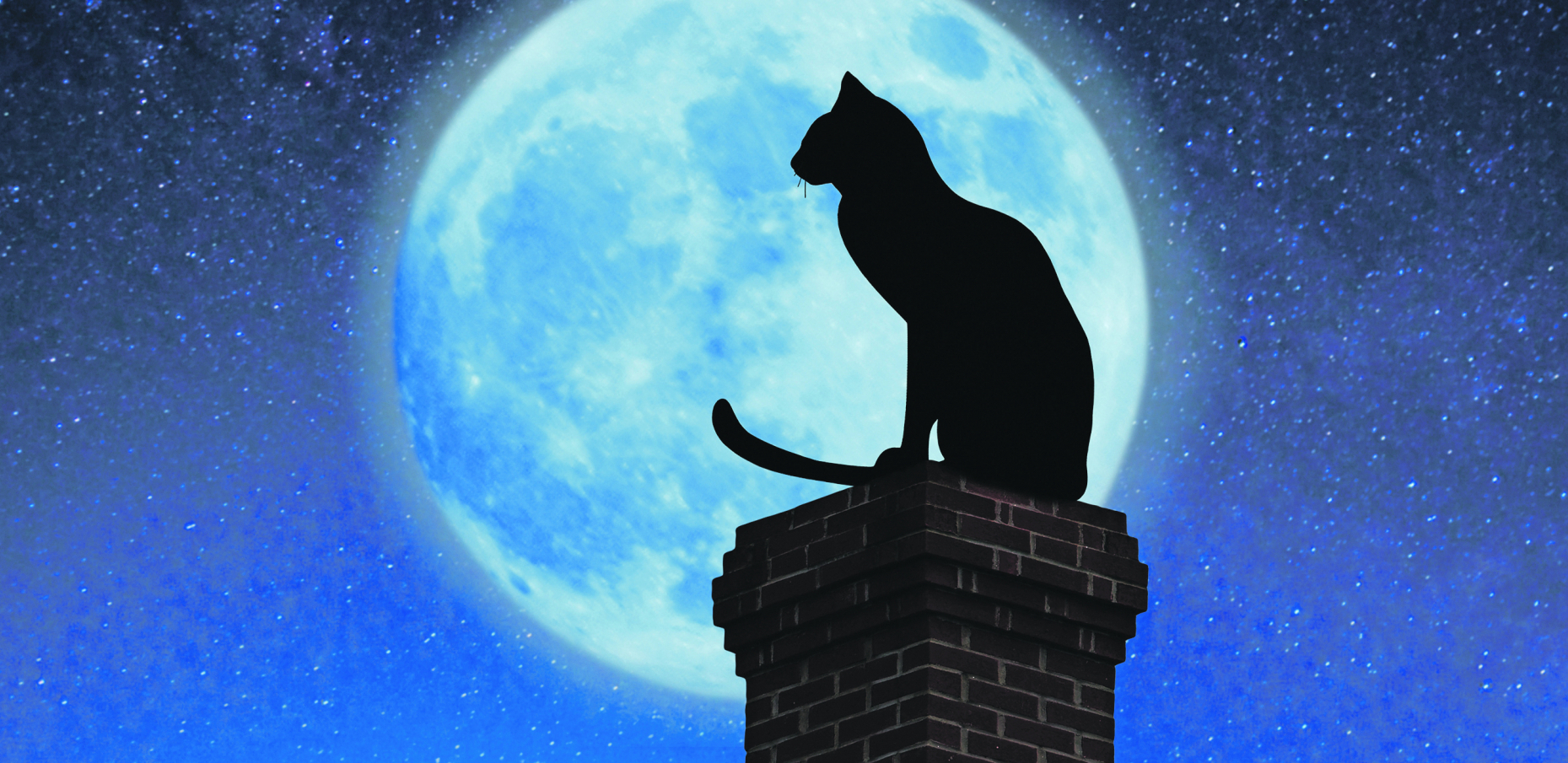 OVO SU NEKA OD NAJČUDNIJIH SUJEVERJA O MAČKAMA U Italiji se veruje da kada maca kine da im to donosi sreću i bogatstvo