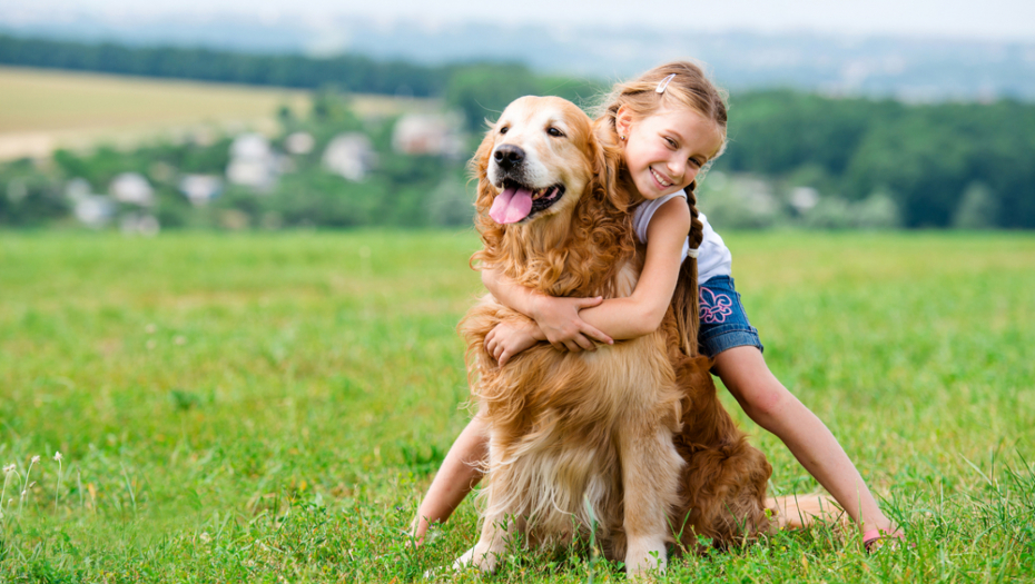 KOJE VOĆE JE NAJBOLJE ZA VAŠEG KUĆNEG LJUBIMCA Obožavaju da ga jedu, a odlično je za zdravlje