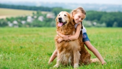 Biće najbolji prijatelji! Ako imate malo dete, ove četiri rase su pravi izbor