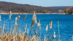 Za romantični izlet udvoje: Ovo mesto u Srbiji ne smete propustiti