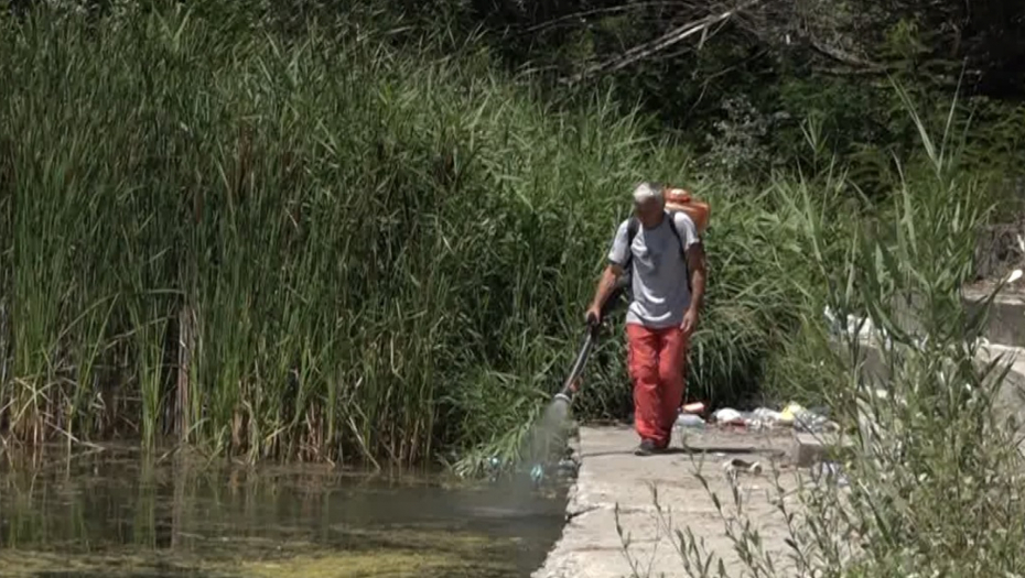 OVO JE NAJSMRTONOSNIJA ŽIVOTINJA NA SVETU Do sada je ubila 52 milijarde ljudi