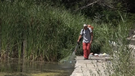 OVO JE NAJSMRTONOSNIJA ŽIVOTINJA NA SVETU Do sada je ubila 52 milijarde ljudi