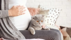 Šta znači sanjati da si trudna? Evo šta se krije iza toga