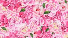 MOŽETE LI DA PRONAĐETE LEPTIRA? Mali broj ljudi ga vidi, potrebno vam je 15 sekundi da oborite rekord