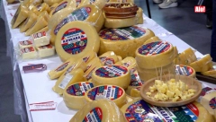 ALO! OTKRIVA Pogledajte kako se pravi čuveni pirotski kačkavalj (VIDEO)