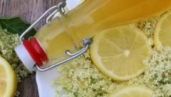 KAKO SE PRAVI SOK OD ZOVE? Domaći sok sa ukusom proleća po starinskom receptu!