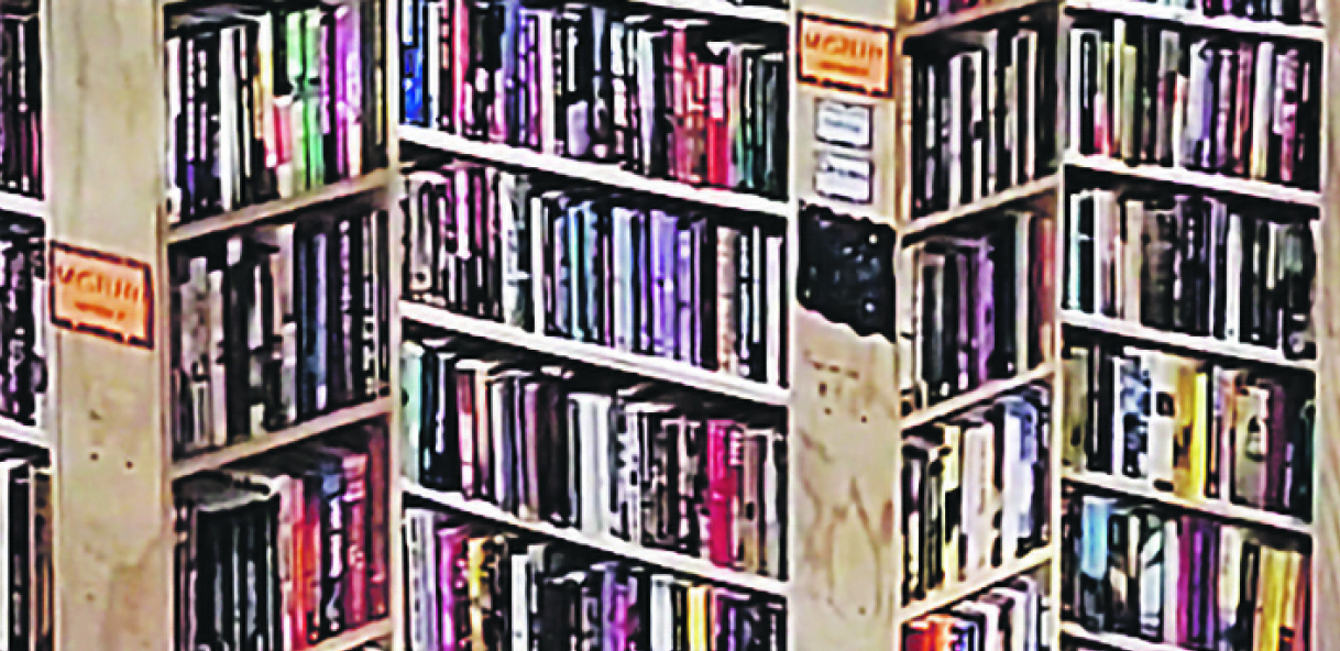 VIC DANA Ulazi Mujo u biblioteku...