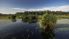 PKS PROMOVISALA BOGATU PONUDU OPŠTINE PEĆINCI: Od muzeja hleba do Obedske bare