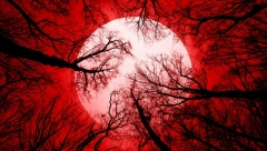 Pomračenje Meseca u znaku Vage 25. marta donosi lom: Jarcu nove prilike za rast, Devici uvećanje prihoda, dva znaka imaće sudbinski susret