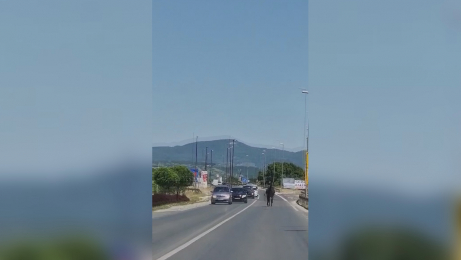 SRNEĆA DIVLJAČ I DIVLJE SVINJA ČESTO MOGU BITI UZROCI SAOBRAĆJANIH NEZGODA Evo kako taj problem rešavaju lovci iz Požege