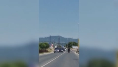SRNEĆA DIVLJAČ I DIVLJE SVINJA ČESTO MOGU BITI UZROCI SAOBRAĆJANIH NEZGODA Evo kako taj problem rešavaju lovci iz Požege