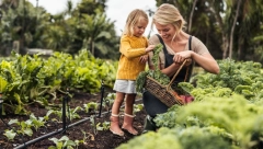 DA VAŠA BAŠTA PRVA OZELENI Evo šta sve može da se sadi u martu
