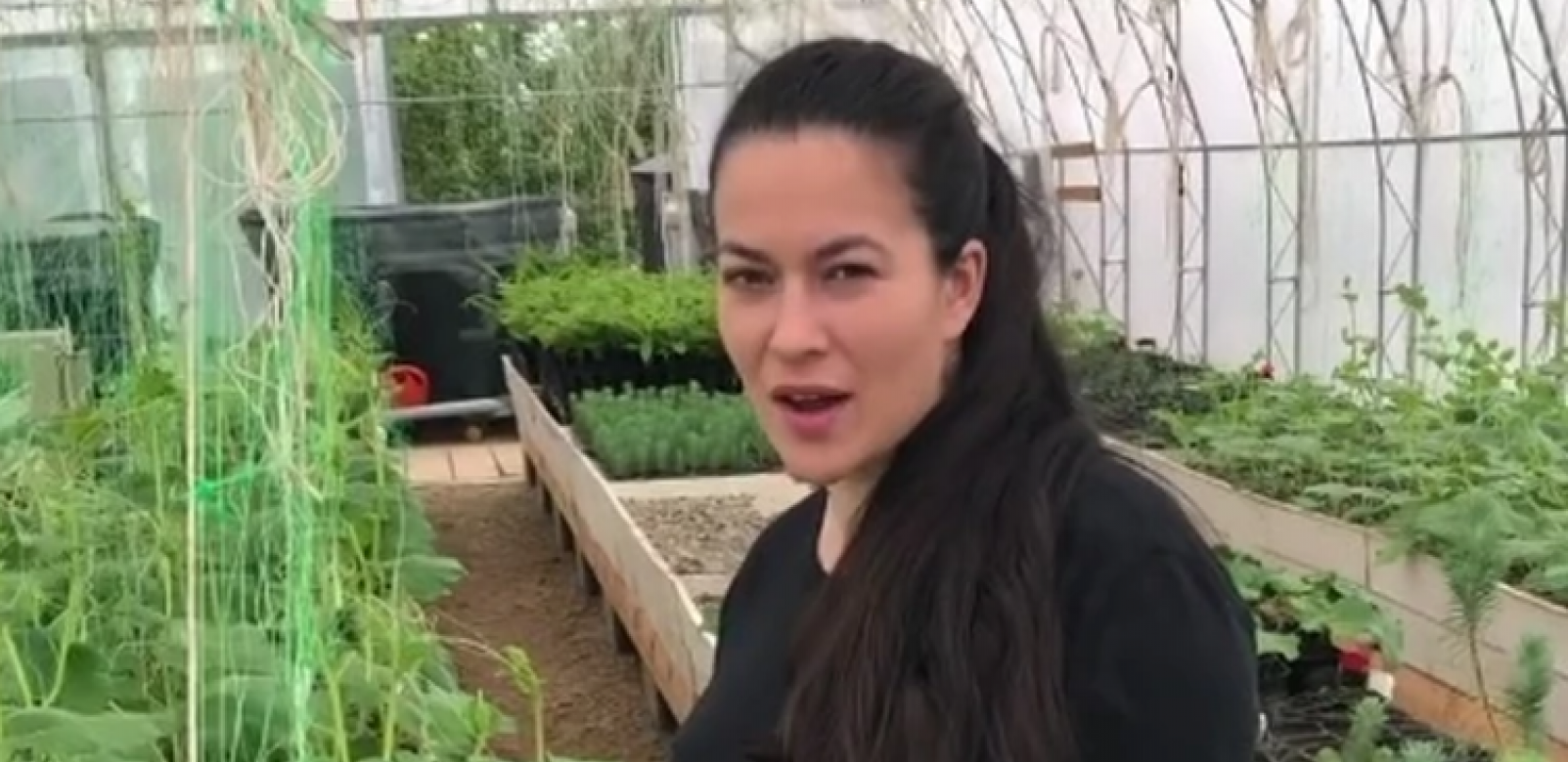 IMAM TIKVE I ČAROBNI PASULJ Marija Petronijević pokazala svoj plastenik i otkrila šta sve uzgaja (FOTO)