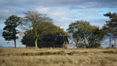 Duhovi u kući: Prepoznati ih možete i po čudnom mirisu