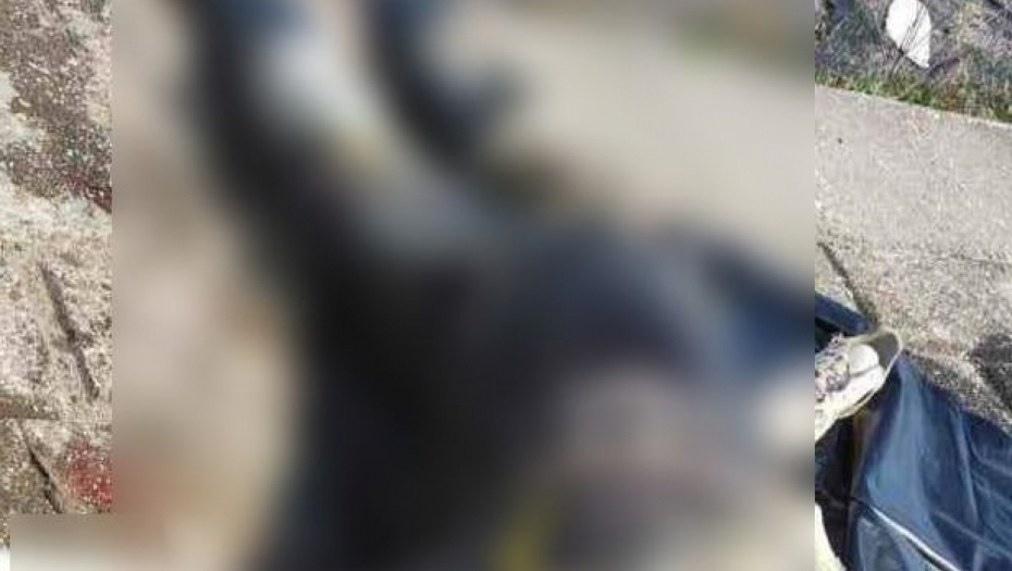 KRAJ AGONIJE Posle više od pet meseci, pronađen leš mladića iz Hrvatske koji je nestao pred doček Nove godine u Beogradu