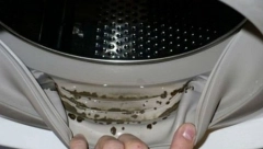 TRIK ZA SAVRŠENO ČISTU VEŠ MAŠINU Sprečite pojavu buđi i kamenca na vreme!