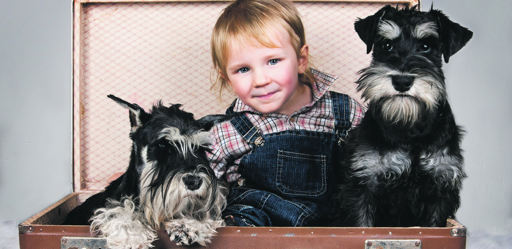 MINIJATURNI ŠNAUCER Ovo je pas koji obožava decu