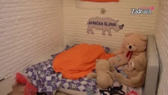 SVE SE ORILO OD NJIHOVIH UZDAHA Nakon žestoke svađe, Dalila i Car imali vruću akciju (VIDEO +18)