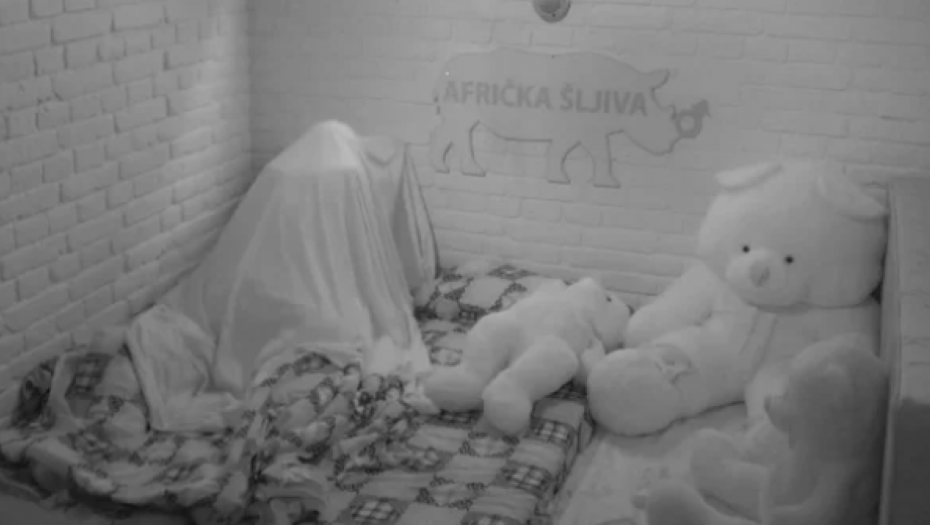 LETELA PO IZOLACIJI Nikad brutalniji se*s Filipa i Dalile, odjekivala izolacija, javnost zgrožena divljim scenama (VIDEO 18+)