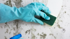 OČISTITE ZIDOVE BEZ KREČENJA Potrebna su samo 2 sastojka koja sigurno imate u svom domu i ima da blistaju kao novi!