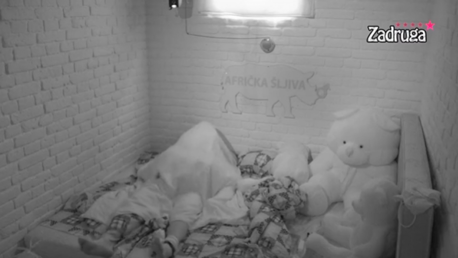 POPELA SE NA NJEGA, NASTAVILI JOŠ ŽEŠĆE! Brutalan se*s Dalile i Cara uoči svadbe, odzvanja izolacija, sve se trese (VIDEO +18)