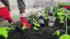 Spremite raskošnu prolećnu baštu: Evo šta se sadi u februaru