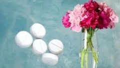 LEKAR U VAZI Božur štiti kuću od zla i isceljuje od ovih bolesti