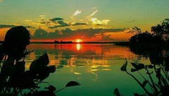 HOROSKOP ZA SREDU, 25. MAJ Bika čeka veliko razočaranje, Raka izluđuju intrige na poslu, Ribe gube živce zbog porodične svađe