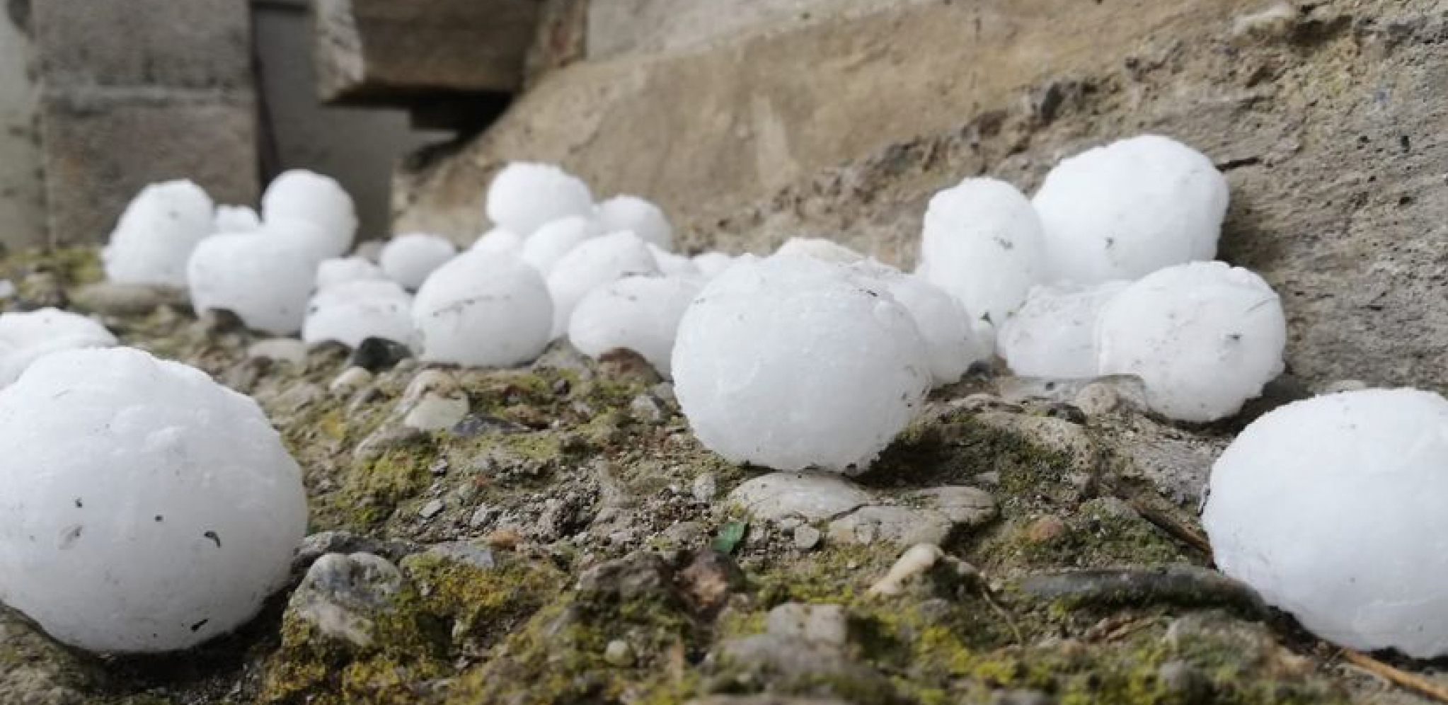 GRAD "OBRAO" MALINE U IVANJICI Nevreme obelelo livade usred leta (VIDEO)