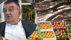 DOKTOR PERIŠIĆ IZNENADIO SRBE: Od ovog voća nam propadaju creva, evo šta treba da uzimamo
