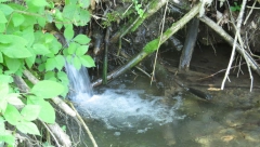 EKSKLUZIVNO Alo! Razotkrio strogo čuvane tajne Istočne Srbije (4): Pop VENČAO DEVOJKU S MRTVIM MLADOŽENJOM (VIDEO)