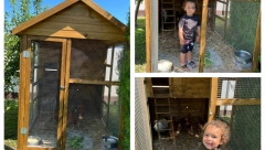 SEKI STIGAO KOKOŠINJAC Pevačica presrećna, puno dvorište živine, a potez malog Jakova sve je oduševio i raznežio (FOTO/VIDEO)