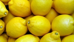 LIMUN DIJETA ZA VITKU LINIJU Izgubite i do deset kilograma za samo šesnaest dana