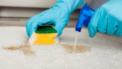 OČISTITE TEPIHE BEZ POMERANJA Biće gotovi za 40 minuta, a uklonićete i najupornije fleke