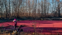 FENOMEN KOJI ŽIV ČOVEK U SRBIJI NE PAMTI Viđen je samo u SRP Gornje Podunavlje nadomak Bezdana, kod vikend naselja Daraži Fok (VIDEO)