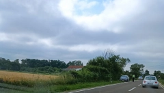 AUTO ZAVRŠIO U KROŠNJI DRVETA Neviđena saobraćajna nezgoda kod Topole srećom prošla bez povređenih (FOTO)