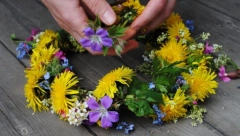 SUTRA JE IVANJDAN, ISPOŠTUJTE OBIČAJE ZA SREĆU I NAPREDAK: Stavite ovo u kuću jer se veruje da pruža zaštitu