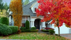 SLEDILA SE OD STRAHA KAD JE SHVATILA ŠTA JE PRONAŠLA Žena kopala po dvorištu, pa naletela na nešto TVRDO (FOTO)