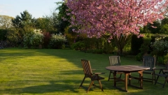 Baštovani kažu da je sad pravo vreme: Pospete ovu namirnicu po dvorištu i travnjak će vam biti kao tepih