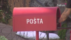 OVO SIGURNO NISU OČEKIVALI U Belu kuću upravo je stiglo pismo, zadrugari ostali u šoku