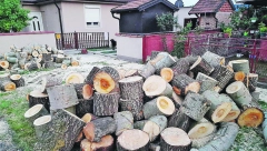 CENE DRVA PAPRENE, PONUDA SLABA Prodavci ne pamte da je kupovina ogreva počela ranije