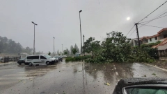 OLUJNO NEVREME ČUPALO DRVEĆE Krupan grad naneo je znatnu materijalnu štetu (FOTO,VIDEO)