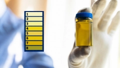 DA LI VAM JE URIN TAMAN ILI MUTAN? Evo koja boja je znak bolesti i zbog toga treba da posetite urologa